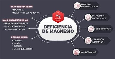magnesio el aliado a tu salud